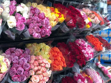 how much are flowers at publix: A Deeper Dive into the Art and Emotion of Floral Pricing